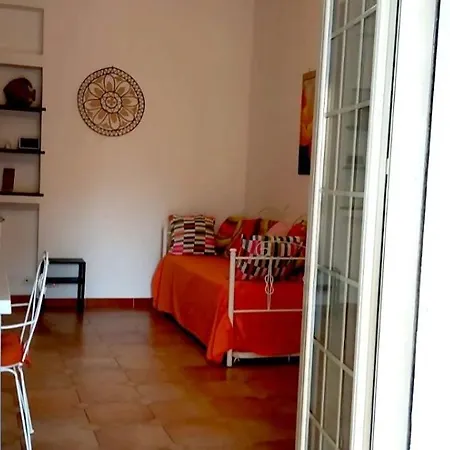 Rosa Dei Venti Nettuno